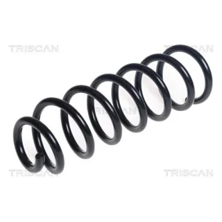 Triscan Feder vorne Mercedes C-Klasse W205 875023204