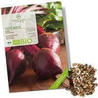 Growgreens Gemüsesamen BIO Rote Beete Samen (Detroit Globe) - Rote Bete Saatgut (50 Korn), Gemüse