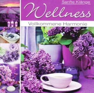 Wellness-Vollkommene Harmonie [Audio CD] Various