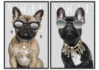 Bild GLAMOROUS DOGS