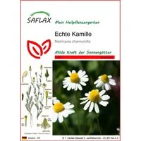 SAFLAX Blumensamen SAFLAX - Samen - Echte Kamille