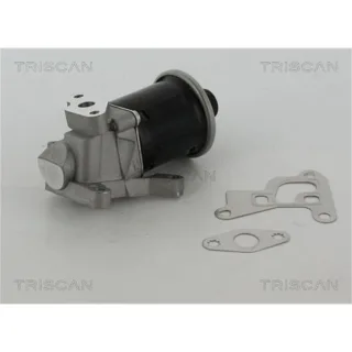 Triscan AGR-Ventil Seat Arosa Ibiza VW Lupo Polo 1,4