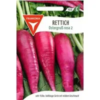FRANKONIA Gemüsesamen Rettich, Ostergruß rosa - Rettich-Samen Saatgut Samen, Raphanus sativus