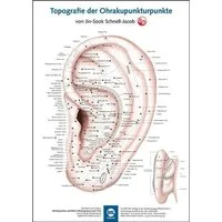 Poster Poster - Topografie der Ohrakupunkturpunkte