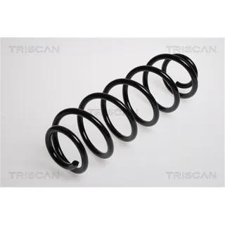 Triscan Feder hinten Peugeot 307 87502876