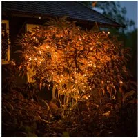esotec LED-Lichterkette 60 bernstein-LEDs 6m LED Kette + 2m Zuleitung Weihnachtsdeko 102172