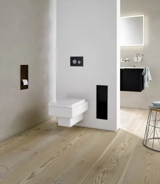 emco Bürstengarnitur-Modul asis 2.0 Unterputz, 497 mm, schwarz matt ohne Einbaurahmen,973428531 973428531