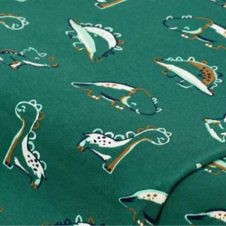 Baumwoll-Jersey "Dinos" mit Elasthan, grün-color