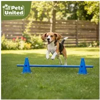 all Pets United Trainingshilfe All Pets United Trainingsset Hund & Kinder, Hunde Sport & Lernhilfe