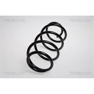 Triscan Feder vorne Renault Vel Satis