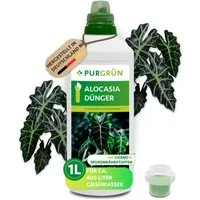 Purgrün Universaldünger Alocasia Dünger, NPK 7+5+6, stärkt Blattwachstum, 1 Liter, Flüssigdünger, 1-St., 1 Liter