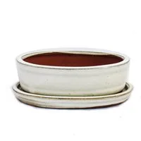 Exotenherz Pflanzschale Bonsai-Schale mit Unterteller Gr. 2 hellbeige oval Modell O7 L 15,5cm (1 St)