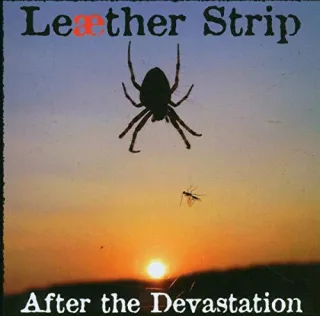 After the Devastation