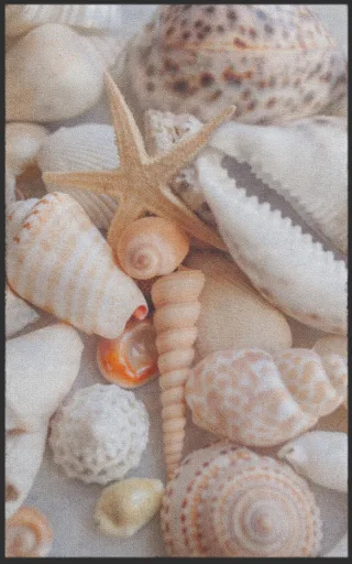 Fussmatte Muscheln 7305 | Größe: 60 cm x 90 cm