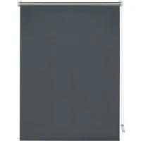 Seitenzugrollo Thermo Klemmrollo Energiesparend, GARDINIA, ohne Bohren, freihängend, Klemmfix, abdunkelnd mit Thermobeschichtung