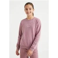 Name It Sweatshirt NKFVASACHA LS NREG SWEAT UNB Baumwolle, regular fit