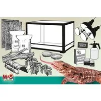 M&S Reptilien Terrarium Komplettset: Für Bartagamen, Tejus und Warane (ca. 150 cm Länge)