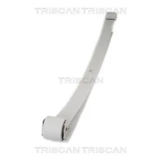 Triscan Blattfeder Hinten Citroen Fiat Peugeot 876528005