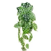 Kunstpflanze Kunstpflanze hängend, UNUS HOME, Höhe 55 cm, Kunstranke, Künstliche Hängepflanzen, Kunstblumen