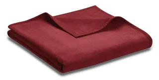 Rot