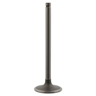 Febi Einlassventil Citroen Fiat Peugeot 18767 1,4