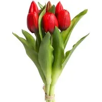 Kunstblume Willa Tulpe, Botanic-Haus, Höhe 32 cm, Tulpenbündel im 7er-Set