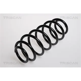 Triscan Feder hinten Toyota Yaris P1