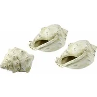 I.GE.A. Dekoobjekt Keramik-Muschel (Set, 3 St)