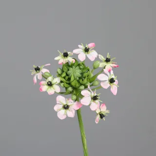 Kunstblume Ornitogalum