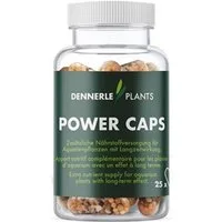 Dennerle Plants Care Aquariumpflege Dennerle Plants Power Caps 25 Stück