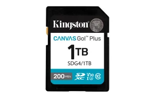 Kingston Canvas Go! Plus | sdg4/1tb | Flash-Speicherkarte