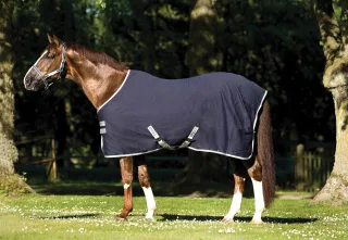 Amigo Stable Sheet
