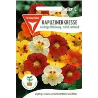 FRANKONIA Kräutersamen Kapuzinerkresse, niedriege nichtrankende Mischung - Saatgut Samen, Tropaolum majus nanum