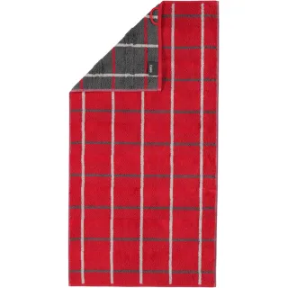 Rot