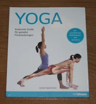 Yoga: Anatomie-Guide für gezielte Fitnessübungen
