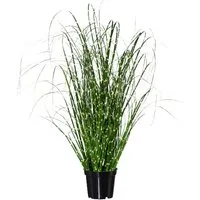 Künstliche Zimmerpflanze Gras, Gasper, Höhe 52 cm, Farbe: Grün, Höhe: 52cm