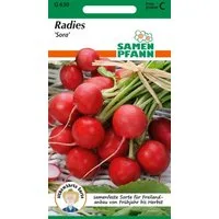 SAMEN PFANN Gemüsesamen Radies, Sora - Radieschen-Samen Saatgut Samen, Raphanus sativus