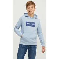 Jack & Jones Junior Kapuzensweatshirt JJCOLE PRINT SWEAT HOOD JNR mit Logoprint