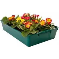 BURI Pflanzschale Profi Gärtnerbox Pflanzschale 58x32x11cm Anzuchttopf grün Pflanzwanne