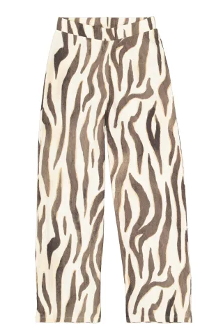 Garcia - Q260110 turtledove - Gr. - L