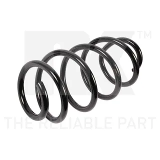 NK Feder vorne VW Passat B6