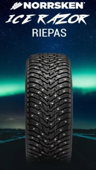 Malatesta NORRSKEN ICE RAZOR 205/55 R16 91H