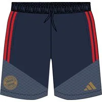 adidas Sportswear Trainingsshorts FCB TR SHOY