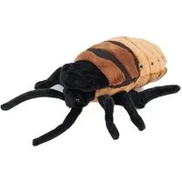Teddys Rothenburg Kuscheltier Kuscheltier Kakerlake 25 cm braun/schwarz Plüschkakerlake