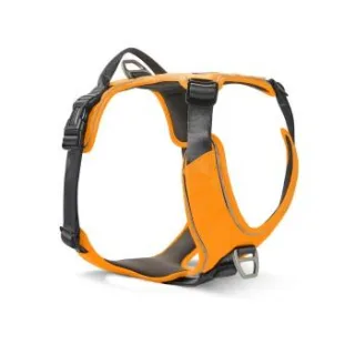 Wolters Active Pro Comfort Hundegeschirr orange XXS