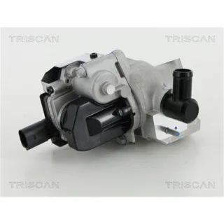 Triscan AGR-Ventil Hyundai Kia 881318046