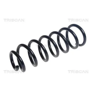 Triscan Feder vorne Mercedes C-Klasse W205 875023202