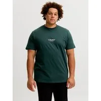 Jack & Jones PlusSize Rundhalsshirt JJESOHO TEE SS CREW NECK NOOS PLS Baumwolle, regular fit