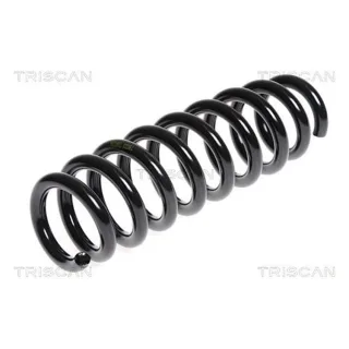 Triscan Feder hinten BMW 1er E81 3er E90