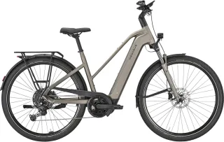 E-Bike  - Pegasus Premio Evo 10 Lite unisex   / Akku: 600 Wh  - 45 cm